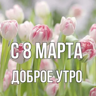 Доброе утро! С 8 Марта! — Открытки с Международным женским днем 2023  красивые - Картинки с наступающим и наступившим 8 Марта утром