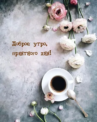 🪻доброе утро🪻☕️ чашка кофе, …» — создано в Шедевруме