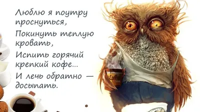 Алексей Музылёв в передаче Доброе утро на Первом канале. Фрагмент выпуска