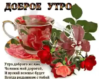 Доброе утро 🌹 в 2023 г | Доброе утро, Весенние цветы