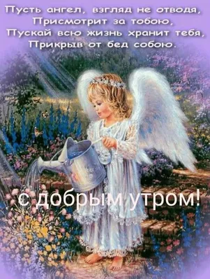 Ангел😇 | Доброе утро, Смешные поздравительные открытки, Красивые цитаты