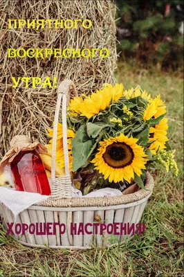 Открытка с именем Август Ионович Доброе утро картинки. Открытки на каждый  день с именами и пожеланиями.