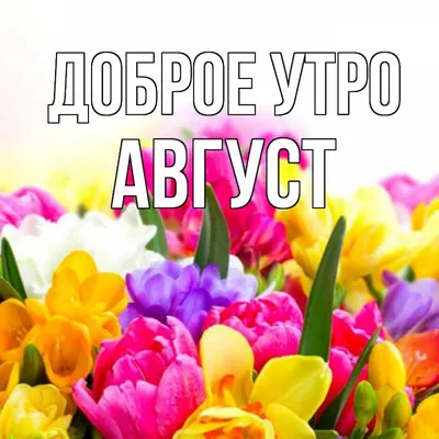 Идеи на тему «Доброе утро» (59) | доброе утро, счастливые картинки, открытки