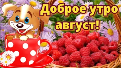 Доброе утро - фото и картинки: 69 штук