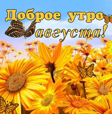 Август! 🍃🌻 🍏🌸🍎 🌻🍃 | Цитаты про лето, Доброе утро, Знаменитые  высказывания