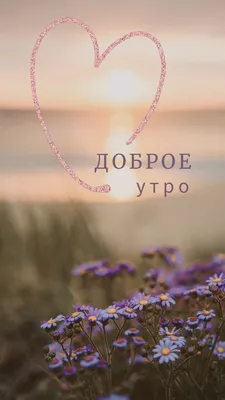 🌸☕️ Здравствуй, Август! Доброе утро Августа!🌸 Счастливого Августа!  Музыкальная видео открытка. - YouTube