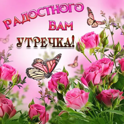 Пин от пользователя Kon Lit на доске доброе утро в 2023 г | Закаты, Доброе  утро, Бабочки