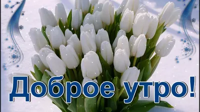 52+ Доброе Утро обои на телефон от wrabov