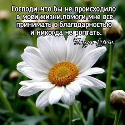 Идеи на тему «Благословенного дня» (87) в 2023 г | благословение,  христианские цитаты, христианские картинки