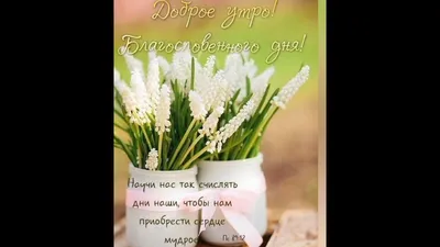 ДОБРОЕ УТРО!!!☀️БЛАГОСЛОВЕННОГО ДНЯ!!🕊️ Христианское пожелание - YouTube