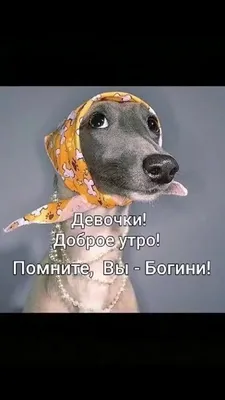Клип дня: Вера Брежнева «Доброе утро» - 7Дней.ру