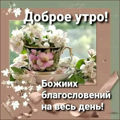 с добрым утром# | TikTok