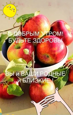 ДОБРОЕ УТРО! 🦋☀🍎💐🌞🌿🍎☀🦋 БУДЬТЕ ЗДОРОВЫ! 💗 | Доброе утро, Смешные  открытки, Утренние сообщения