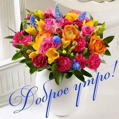 ДОБРОЕ УТРО! 🧡🦋🌼💐🏵🌿🌼🦋 ВСЕ БУДЕТ ХОРОШО! 🧡 | Красивые розы, Цветы,  Красивые цветы