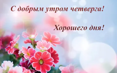 Красивое утро четверга - Праздники сегодня | Утро четверга, Четверг, Доброе  утро