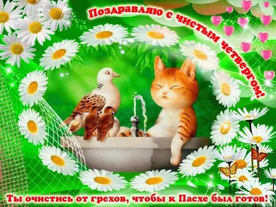 Чистый четверг. 🚿 О чистоте🪣🧹🪟 О козах 🐐 и о нас 🏠 | Интересные факты  | Дзен