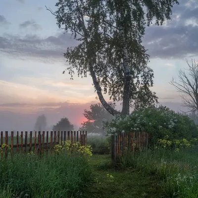 Доброе утро картинки деревенские - 70 фото