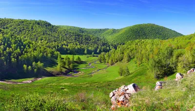 Открытка с пожеланием доброго утра - скачать бесплатно