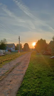 Доброе утро | Пикабу