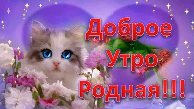 Доброе утро!🌿🌸🌞 в 2023 г | Доброе утро, Весна, Белые цветы