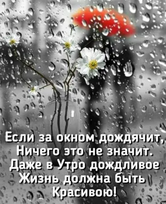 Twitter 上的 Валентина @valentinaKrKl："@NatakorSamara Дождь нам не помеха,тем  более солнце светит. Доброе ,Наталья Николаевна! /OP4vMsvixS" /  Twitter