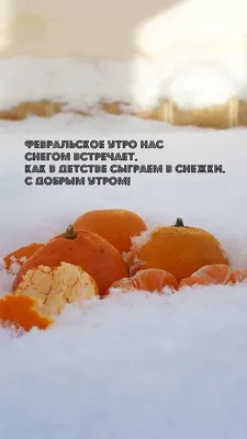 Картинка: Февральское утро нас снегом встречает.