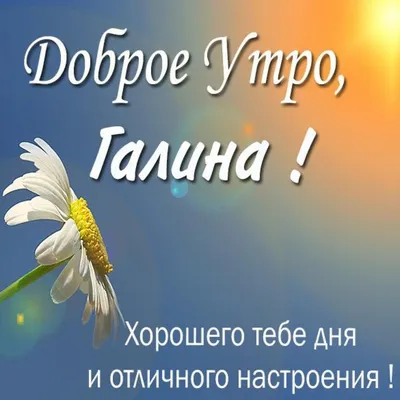 Доброе утро галя #15