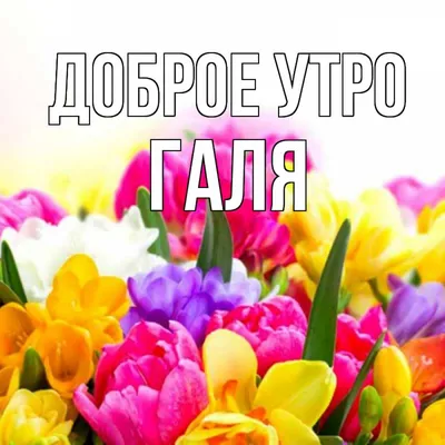 Pin by Светлана on Доброе утро | Good morning cards, Good morning greeting  cards, Good morning greetings