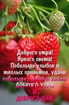 Открытка с именем Галина С добрым утром. Открытки на каждый день с именами  и пожеланиями.