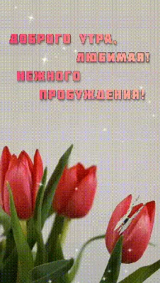 С добрым утром, любимая! Открытка GIF для любимой! | Открытки, Доброе утро,  Весна