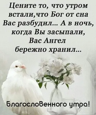 С добрым утром вторника. Удачного дня. | Утро вторника, Доброе утро, Юмор  вторника