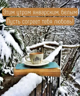 Идеи на тему «Доброе утро» (840) в 2023 г | доброе утро, осенний баннер,  цитаты про лето