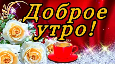 Утро России — Википедия