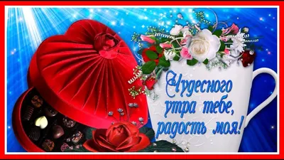 Так дико": россияне и белорусы воруют популярную фразу "Доброго вечора, ми  з України" - 24 Канал