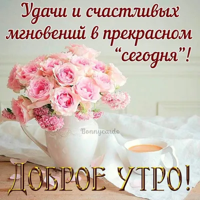 С добрым утром, именниница. | Birthday, Happy birthday me, Happy birthday