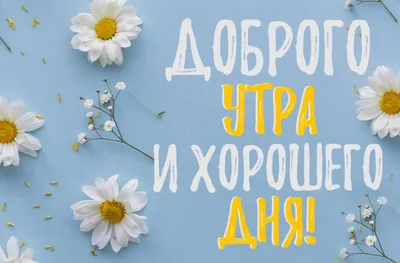 Пин от пользователя Анна на доске Доброе утро | Зимнее искусство, Доброе  утро, Интересные факты