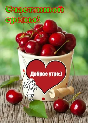 доброеутро☕🍫🌞# #счастьярадостидобра💞💐# | TikTok