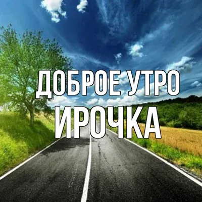 С добрым утром, "Птички"! — обсуждение в группе "Разговоры обо всем" |  Птичка.ру