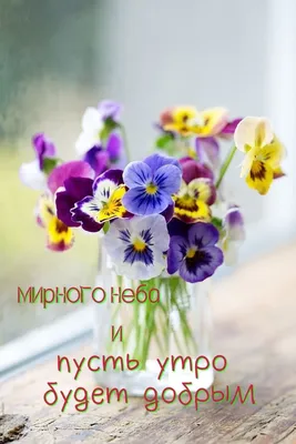 Доброе утро | Goedemorgen bloemen, Goedemorgen, Maandag