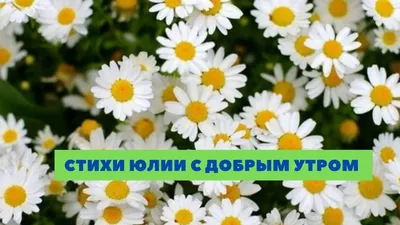 Картинка доброе утро Юленька с надписями (скачать бесплатно)