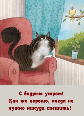 Прикольные и смешные картинки с пожеланием доброго утра. | Доброе утро,  Смешные смайлики, Милые цитаты