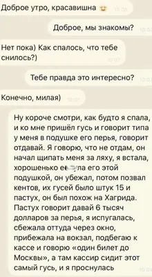 Доброе утро. Как спалось? Что снилось? | Ирина Нельсон | Дзен