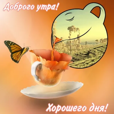 Анимация с пожеланием доброго утра и хорошего настроения | Good morning  gif, Painting, Good morning