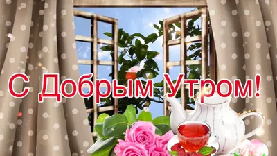 Доброе утро отличного настроения (85 лучших фото)