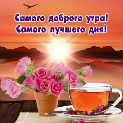 Доброе утро красивые картинки мотивация кофе море и цветы | Good morning  motivation, Good morning greeting cards, Good morning beautiful pictures