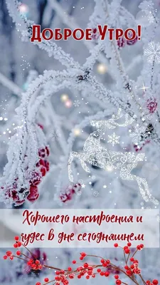 Хорошего дня зимы картинки с пожеланиями (48 фото) » Красивые картинки,  поздравления и пожелания - 