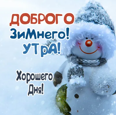 Картинка доброго зимнего дня и хорошего настроения | Открытки, Смешные  открытки, Надписи