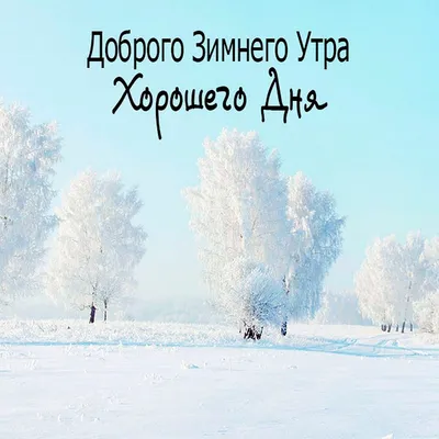 Красивая картинка доброе утро хорошего дня зимы (скачать бесплатно)