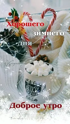 ДОБРОЕ УТРО! 🎄💖⛄🍒❄🎇❄🍒⛄💖🎄 ХОРОШЕГО НАСТРОЕНИЯ В ЛЮБУЮ ПОГОДУ! 🌨☀❄ | Доброе  утро, Зимние картинки, Смешные детские картинки