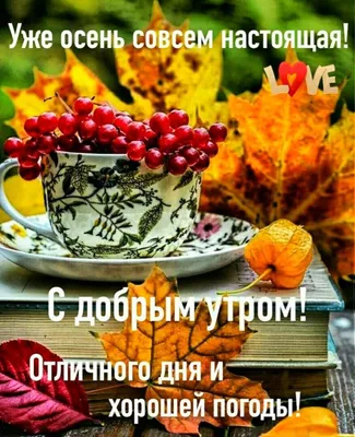 ДОБРОЕ УТРО! 🍁🍒🍫☕🍂🍎🍂☕🥧🍒🍁 Хорошего настроения в любую погоду! |  Смешные счастливые дни рождения, Доброе утро, Фотографии для мотивации